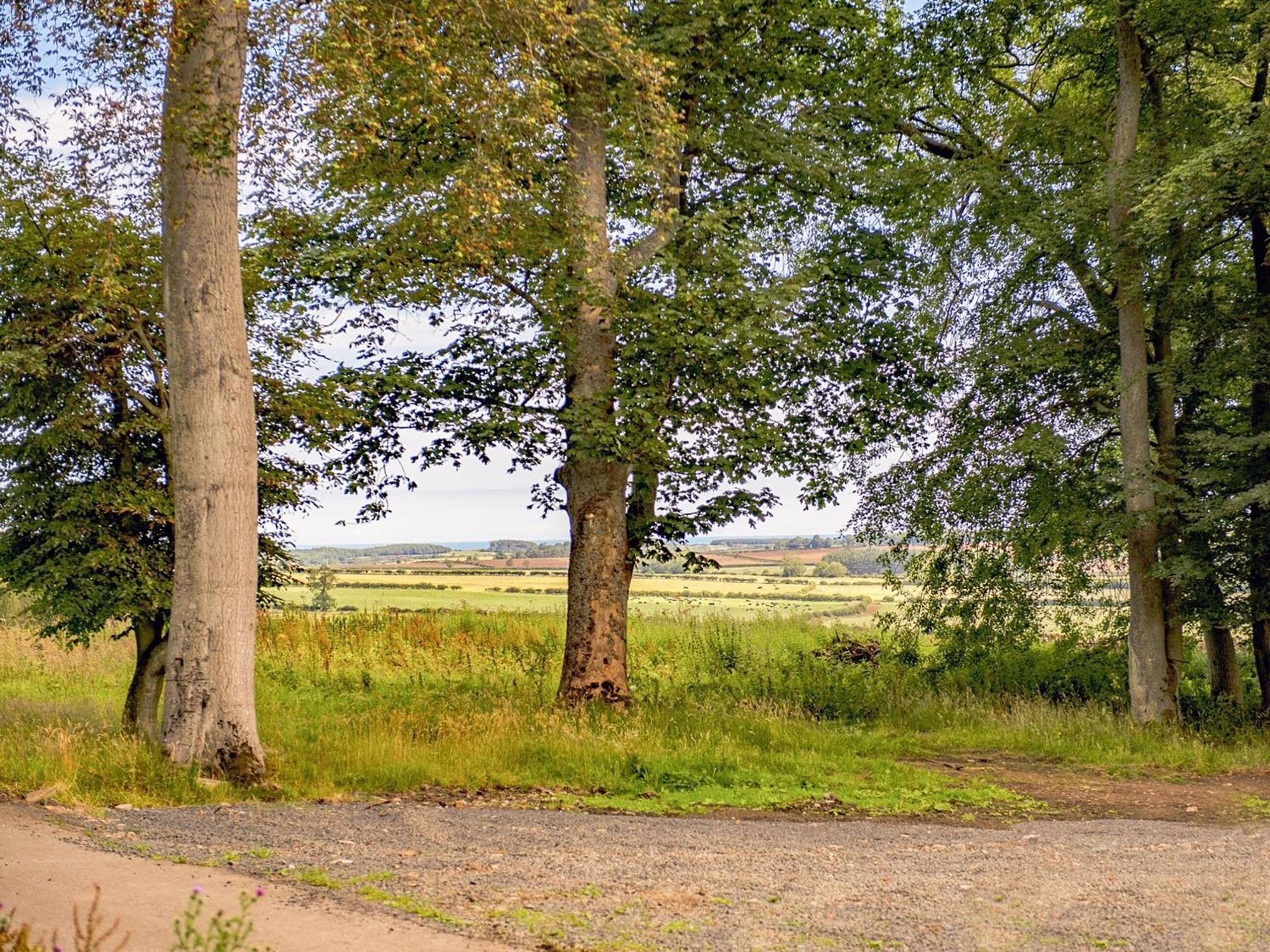 Heckley Stable Cottage Alnwick Esterno foto